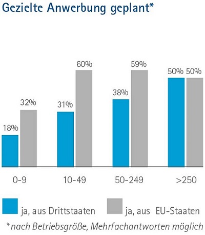 Diagramm "Gezielte Anwerbung geplant"