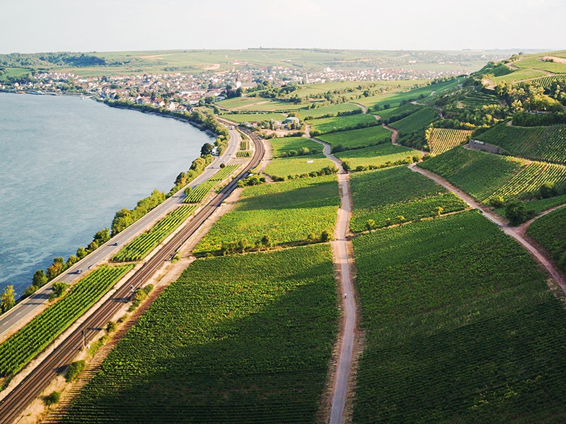 Rheinhessen Image (Rhein mit Weinberg, Bahnlinie, Straße)