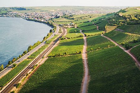 Rheinhessen Image (Rhein mit Weinberg, Bahnlinie, Stra&szlig;e)